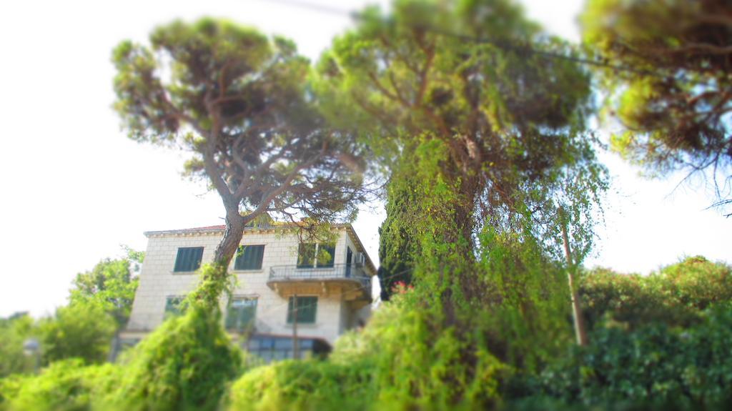 Apartment Dubrovnik Surprise Exterior photo